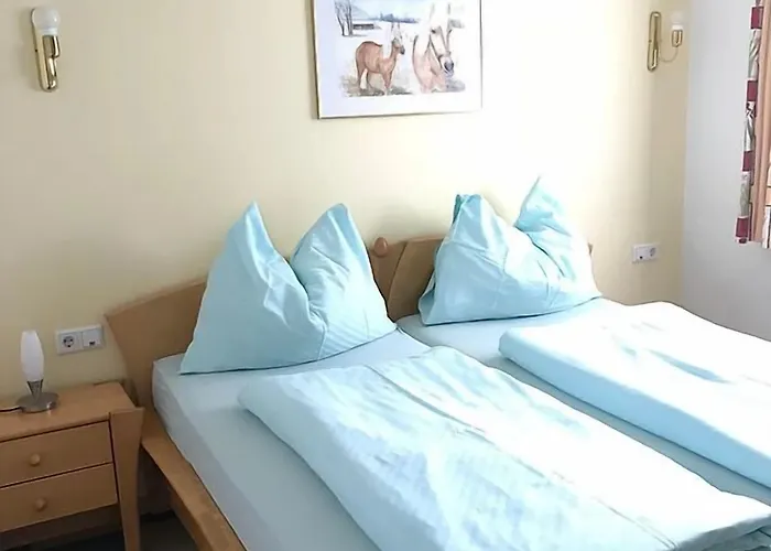 Theresa Appart hôtel Kaprun